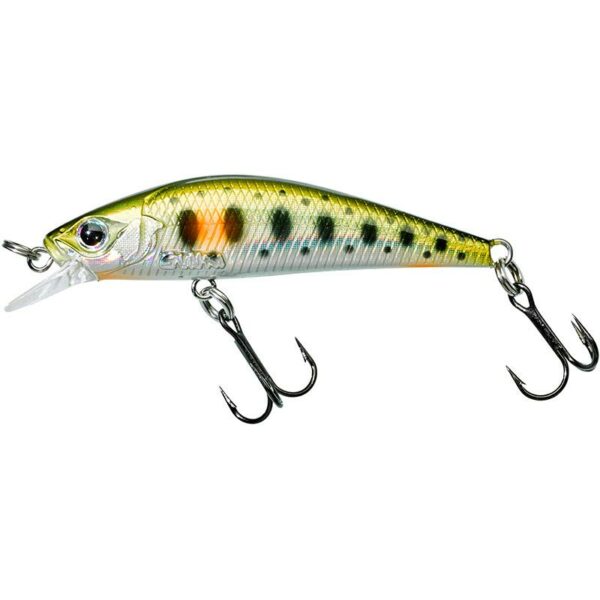 Gunki Gamera 54 Shw coloris Spot Green Trout