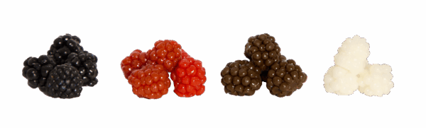 Le Gobeleur Mure 1,5cm