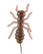 Le Gobeleur Fourmi 1,5cm