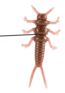 Le Gobeleur Larve De Perle V2 2,5cm