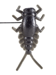 Le Gobeleur Larve Ephemere 2cm